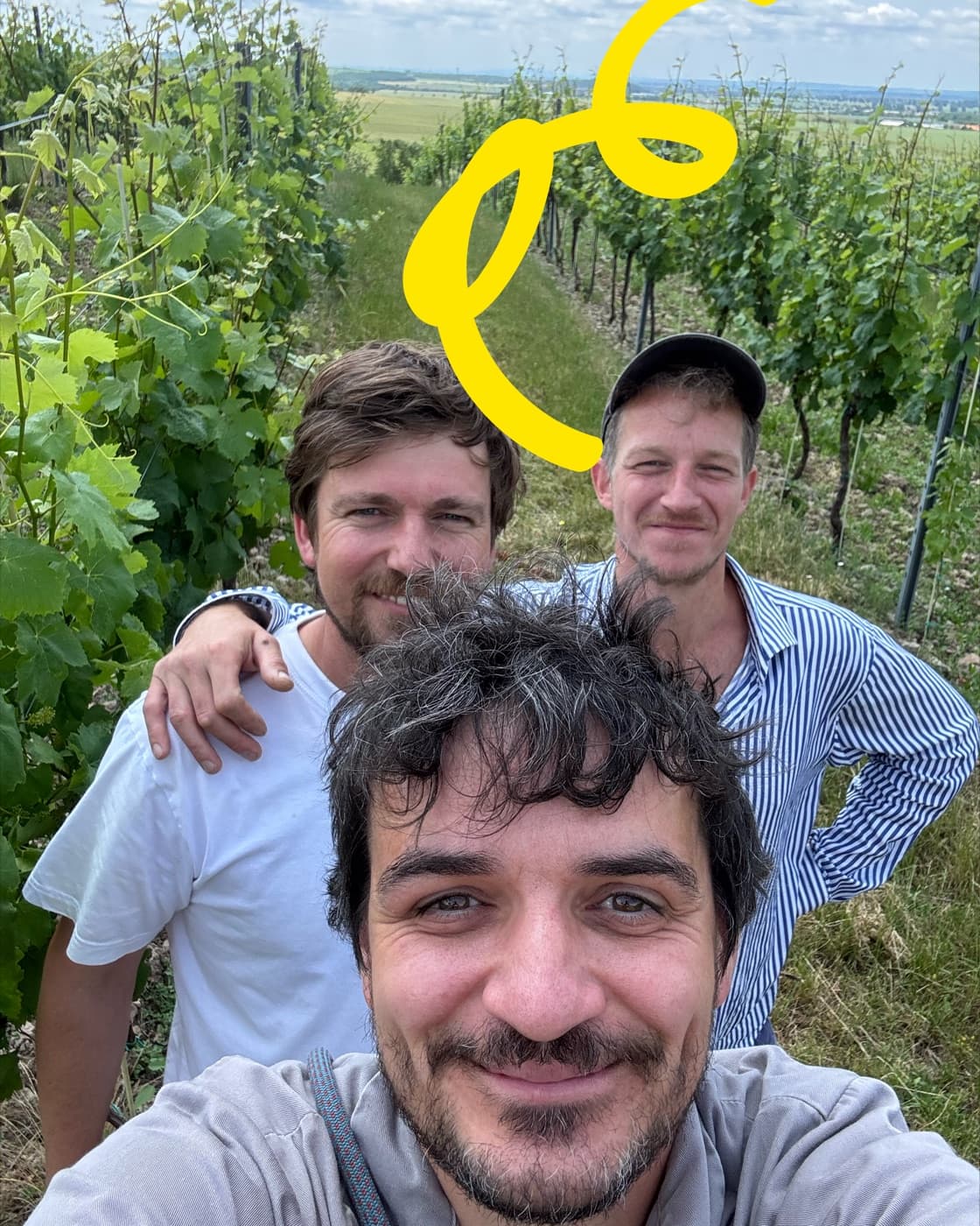 The Out of team among the vines